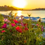 Aphrodite Beach 4*