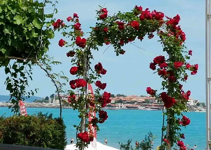 Aphrodite Отель 4*